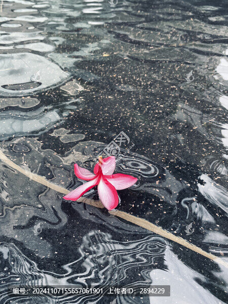 掉在水里的花水波紋