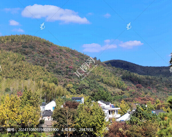秋日山村