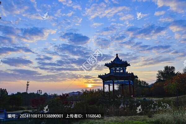 公園晨景