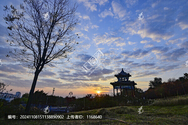 公園晨景