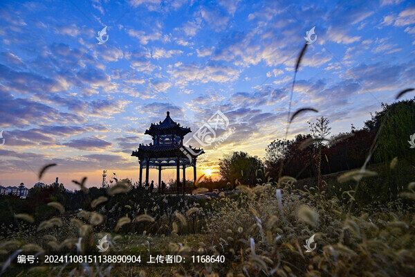 公園晨景