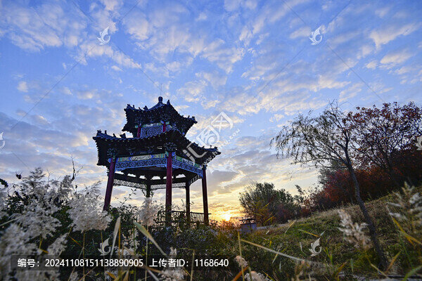 公園晨景