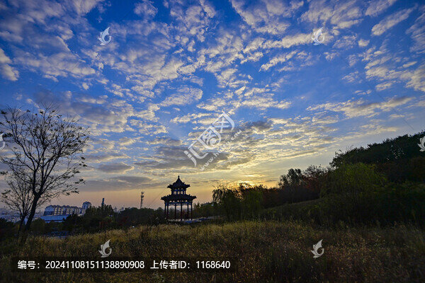 公園晨景