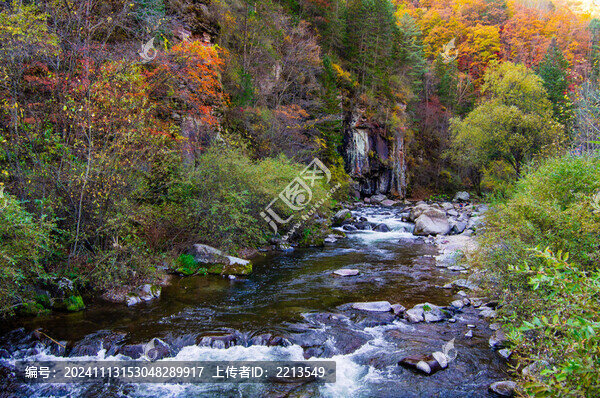 長白山望天鵝景區(qū)森林中流淌的小河秋色