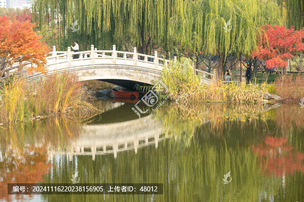 秋色橫波