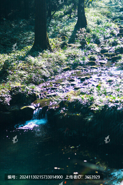 森林小溪