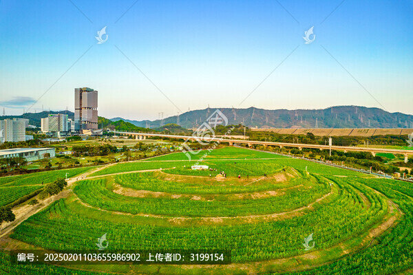 華南廣東省深圳市光明區(qū)歡樂田園風(fēng)光
