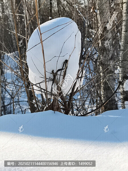 冬雪