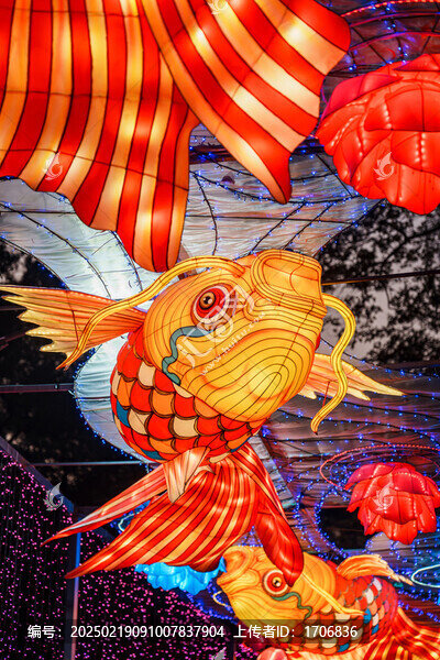 夜間錦鯉花卉彩燈絢麗空中造型