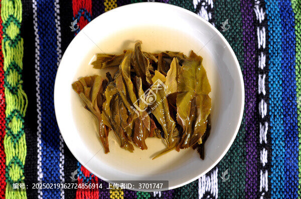 云南普洱茶生茶葉底