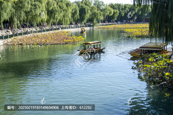 湖中游船