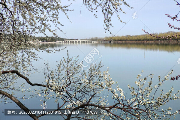 頤和園十七孔橋春色