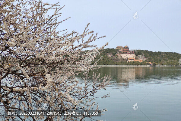 北京頤和園春色