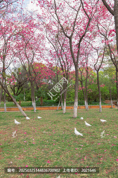 昆明寶海公園園林景觀
