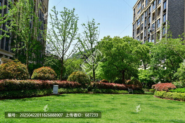 小區(qū)綠化春景