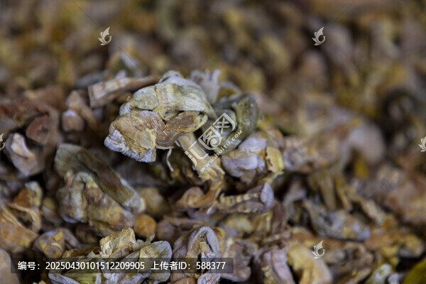 杭州天目山炭烤有機(jī)生態(tài)筍干