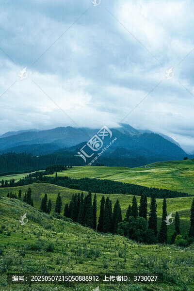 新疆內(nèi)蒙古遼闊草原山脈森林自然風(fēng)光