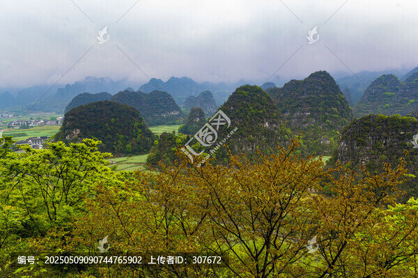 春日山巒綠意盎然風(fēng)光