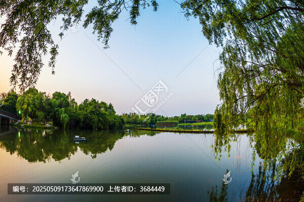 柳影瀾光繪暮景