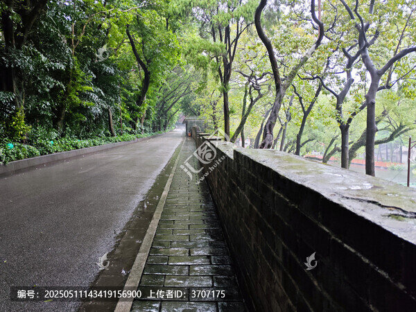 雨中的廣州越秀山古城墻