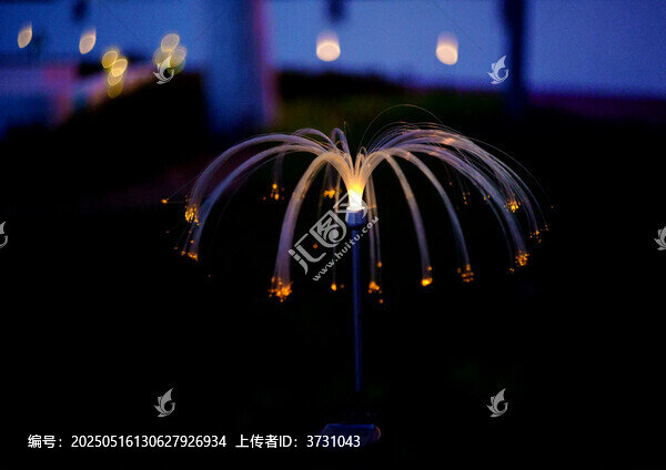 夜間綻放的光纖景觀燈