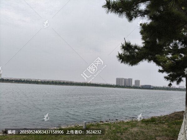 湖畔風光與遠處城市建筑
