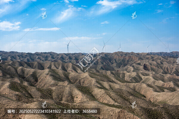 黃河石林