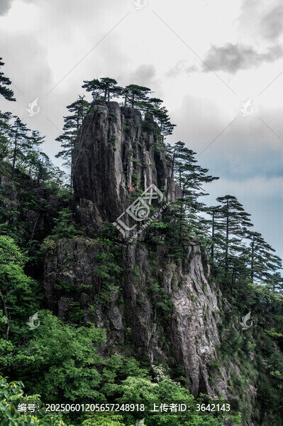 峻峭山峰上的挺拔松樹