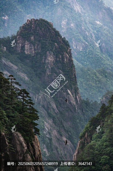 峻嶺青山間飛鳥翱翔