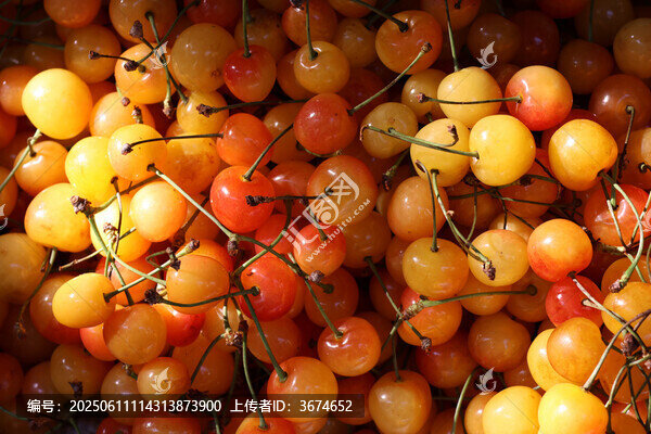 黃櫻桃