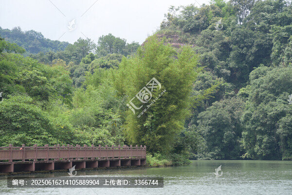 廣東韶關(guān)錦江沿岸竹林