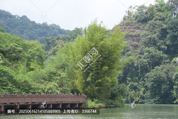 廣東韶關(guān)錦江沿岸竹林