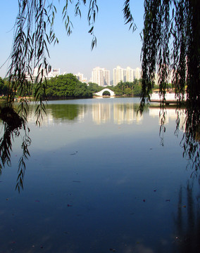 深圳市荔枝公园