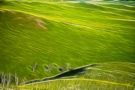 草原印象 抽象电脑画