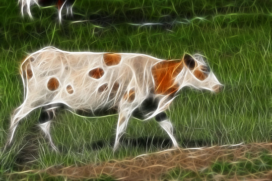 草原牛 抽象画