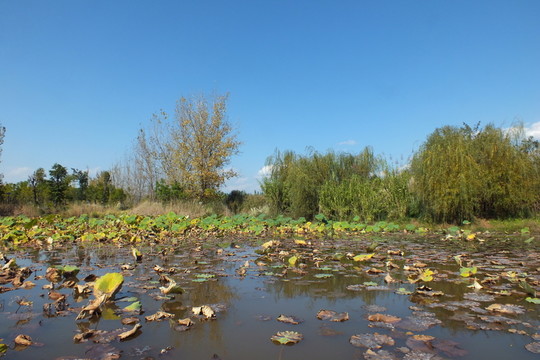西昌 邛海湿地公园