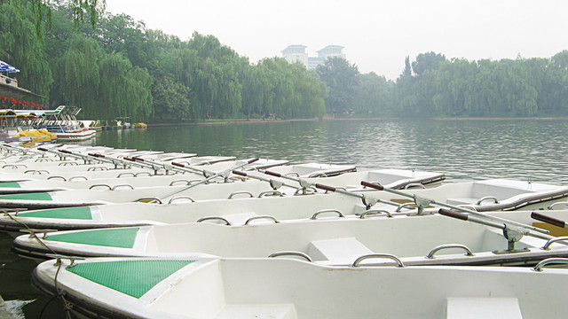 小船 公园 划船 紫竹院 湖