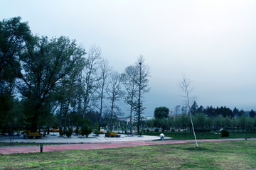 海伦农场 兴海广场 公园