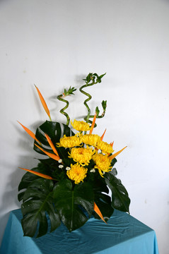 菊花艺术造型