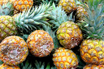 菠萝 水果 食品 绿色食品