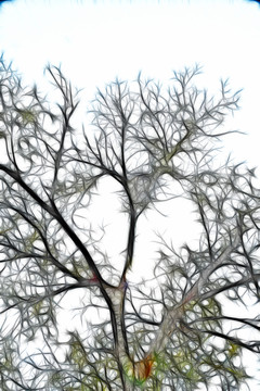 树茂剪影抽象画