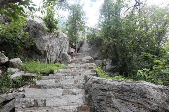 石阶  石梯
