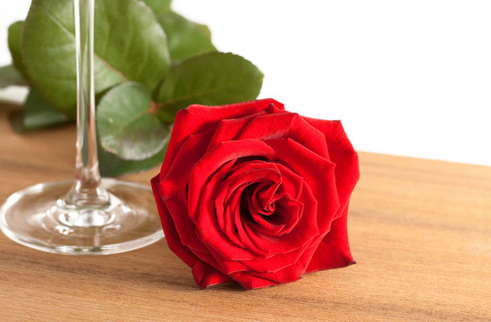 红玫瑰与葡萄酒杯