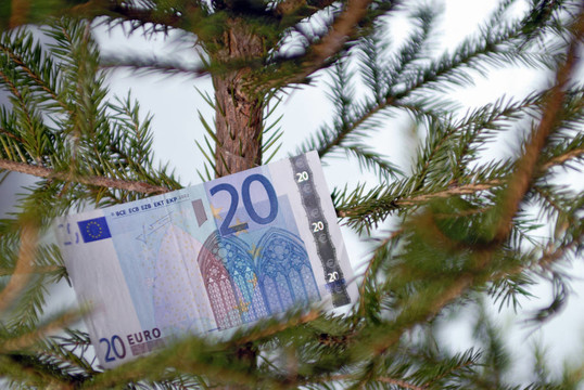 二十欧元纸币在树枝上