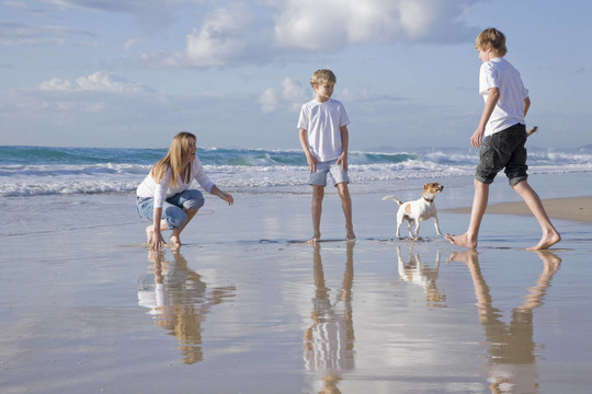 在海滩上与狗玩耍的家庭
