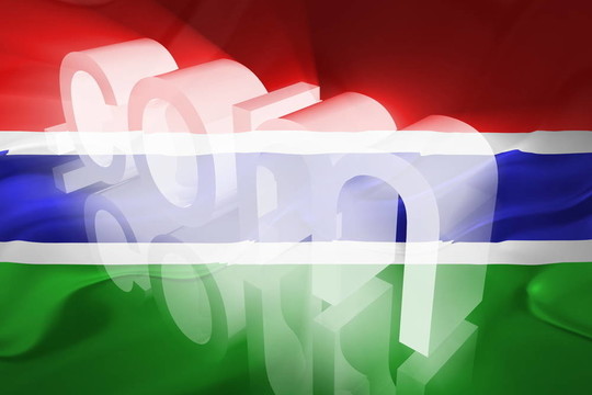 冈比亚波浪WWW互联网的旗帜