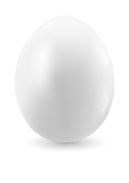 在白色背景上的鸡蛋