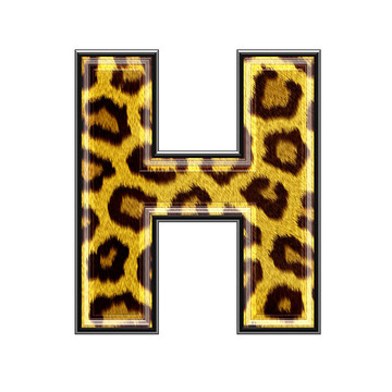 三维信与豹皮肤纹理- H