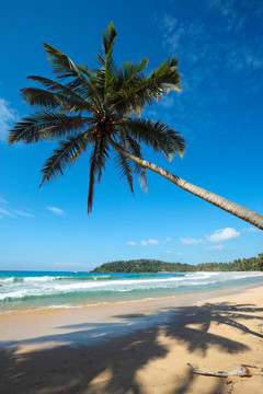 田园棕榈海滩。斯里兰卡