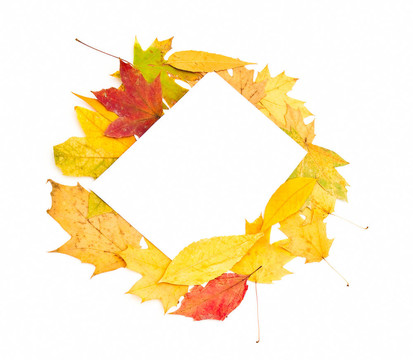 不同颜色和形式叶子的秋天背景